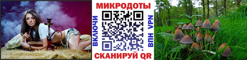 площадка формула Агидель Галлюциногенные грибы ЛСД